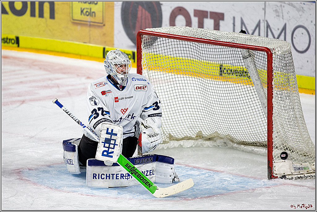 DEL;  Koelner Haie - Straubing Tigers; Koeln, 01.03.2020
